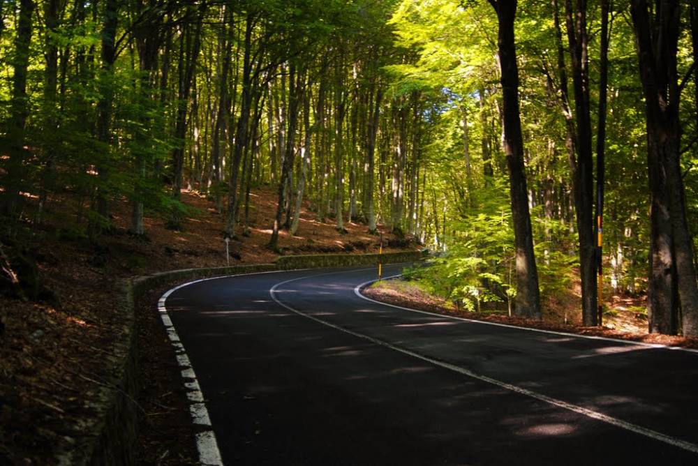 Monte Amiata strada