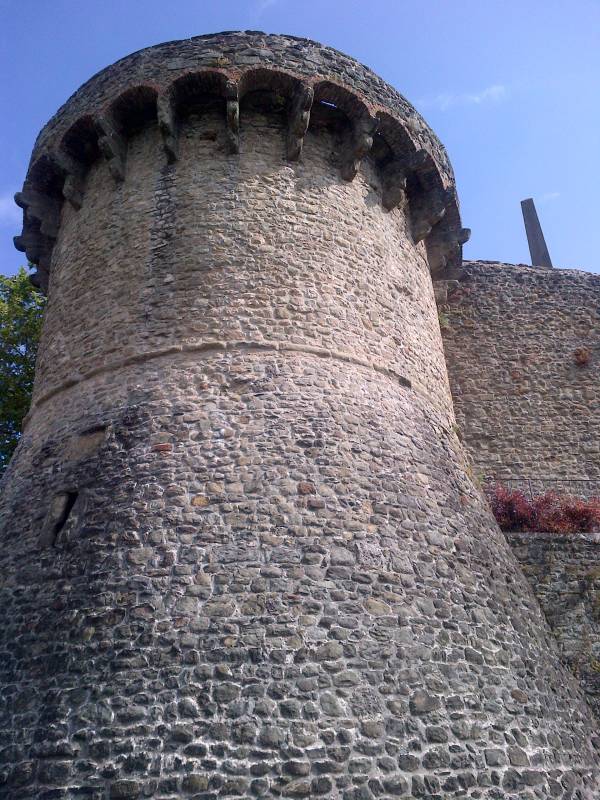 castiglione, la torre
